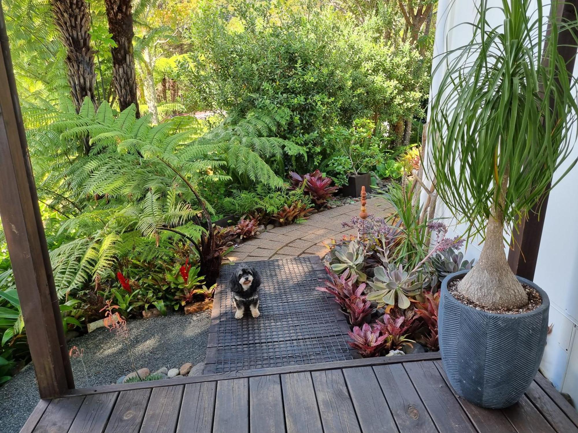 Coromandel Eco Sanctuary Villa Eksteriør bilde