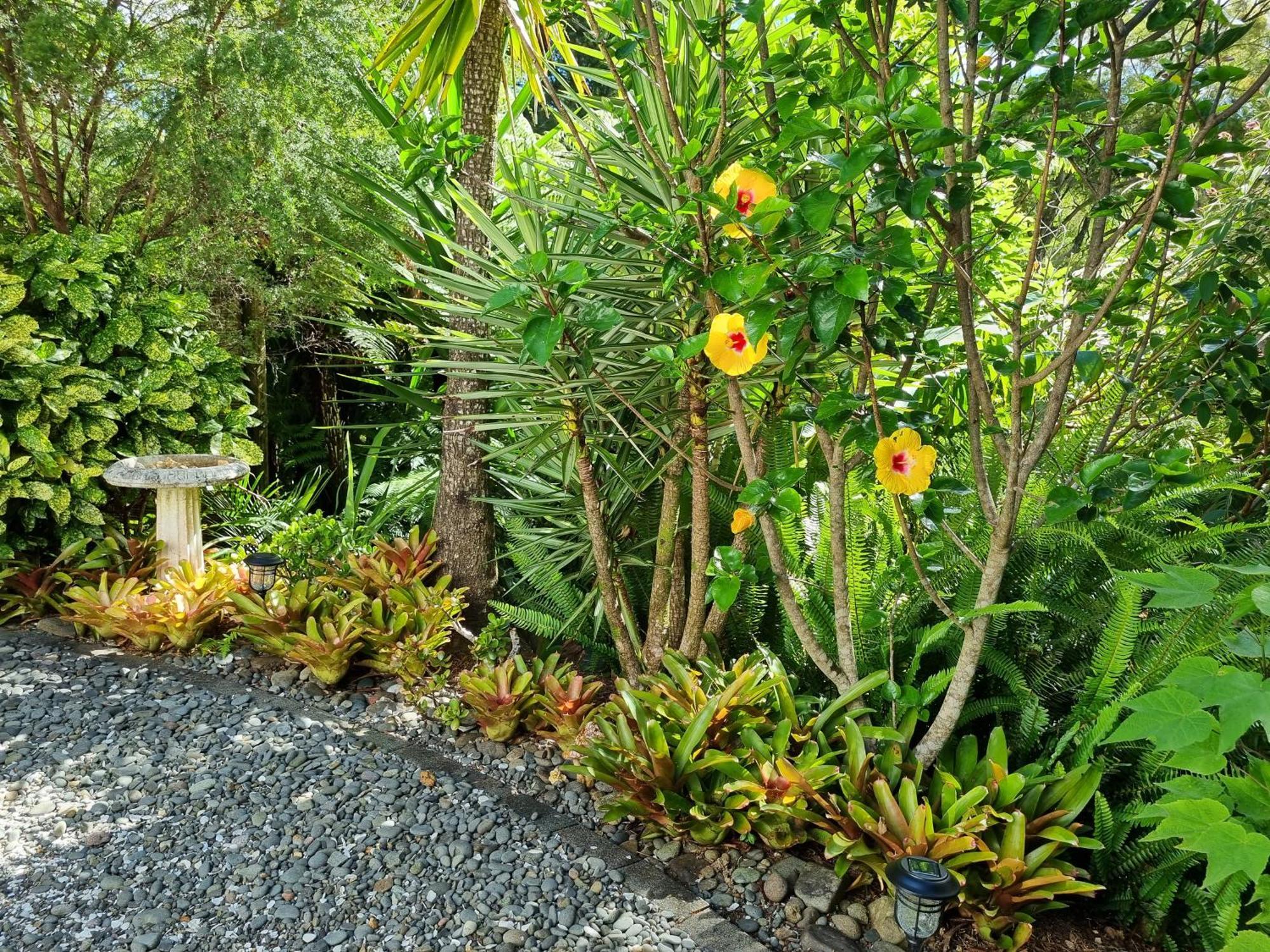 Coromandel Eco Sanctuary Villa Eksteriør bilde